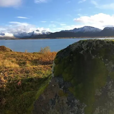 Leknes City Apartment