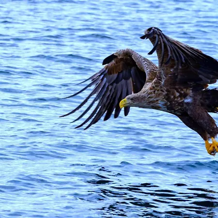 アパート Leknes City Apartment